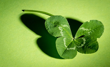 十二星座2016年2月整體運勢大公開