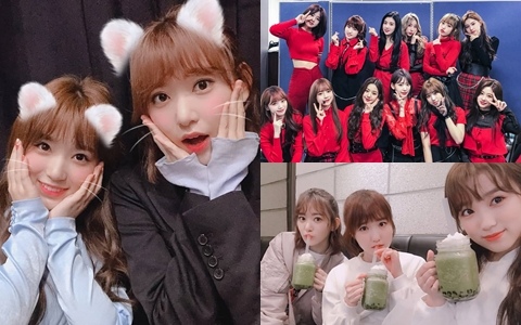 IZ*ONE所屬成員將「參與HKT48日本演唱會」卻讓網友超生氣?經紀公司稍早做出回應了!