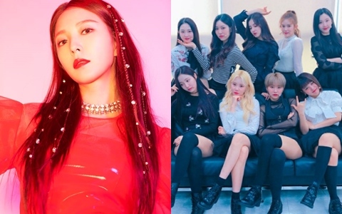 又有「新手燈」誕生啦!偶像親自「開箱」分享...網友大推「不只精緻,發光力還超強!」