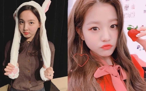 狗狗相、貓相已經不稀奇了?「兔子系女偶像」正夯...韓網盤點有兔寶寶相的女偶像TOP5!