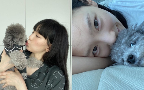 「辛苦的2017年...」太妍發文賀愛犬生日,吐露艱苦心聲