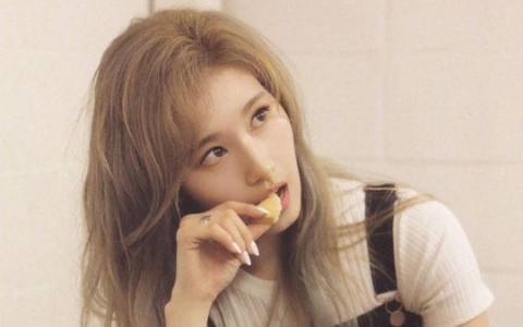 TWICE 成員 Sana 瘦出精緻五官驚艷眾人!出道照遭揭曾因雙下巴遭網友攻擊⋯