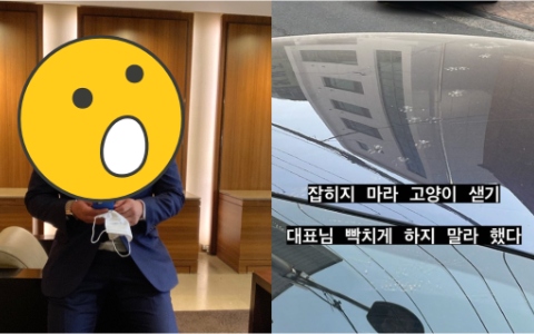 韓國知名饒舌歌手名車「被貓踩」破口怒罵遭指責⋯結局卻超反轉！