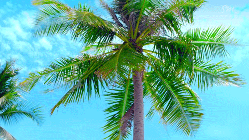 youtube來源_SMTOWN 