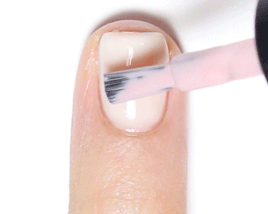 Pikicast叛亂熊｜版權所有