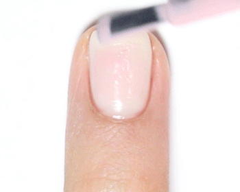 Pikicast叛亂熊｜版權所有