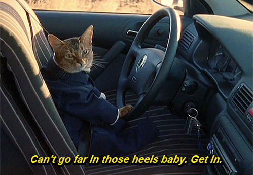 Image來源_giphy.com