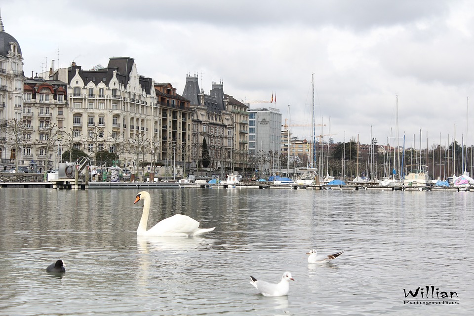 Image來源_pixabay.com