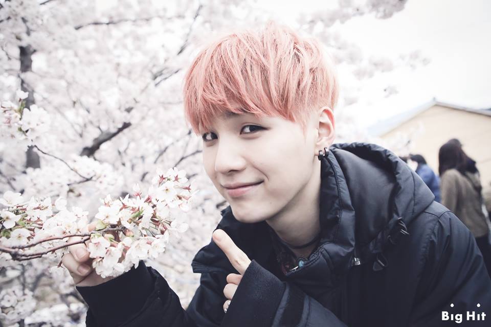 Image來源_Facebook_SEVENTEEN