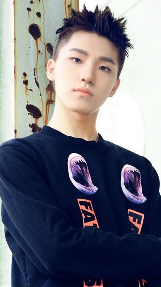 image來源_SEVENTEEN官網