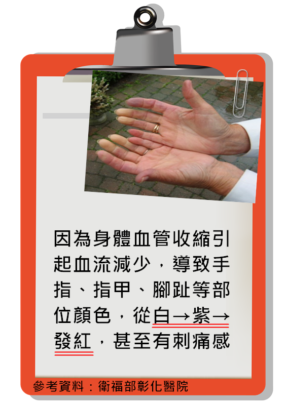 Image來源_維基百科｜Raynaud's phenomenon