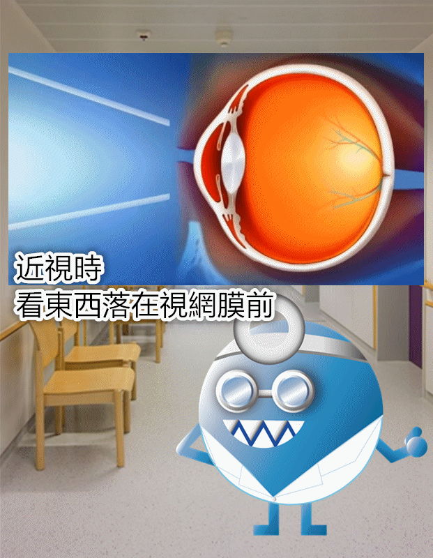 image來源_Pixabay, Youtube_OrthokAcademy's channel