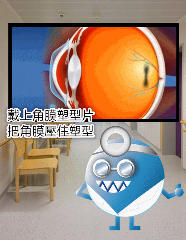 image來源_Pixabay, Youtube_OrthokAcademy's channel