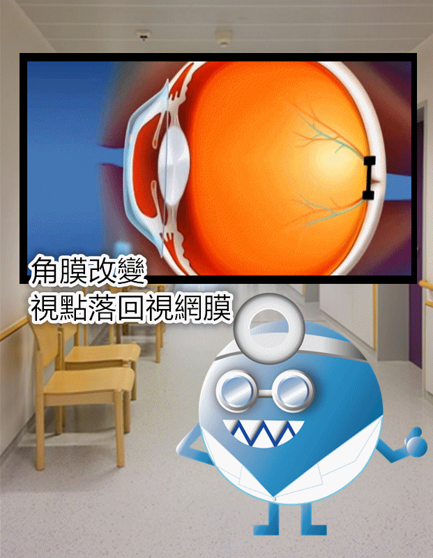 image來源_Pixabay, Youtube_OrthokAcademy's channel