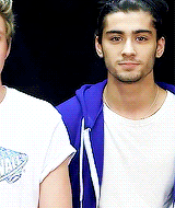 Image提供_Giphy.com