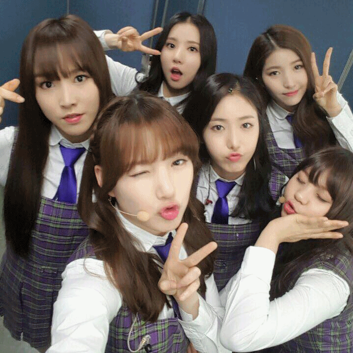 Image來源_Facebook_GFRIEND
