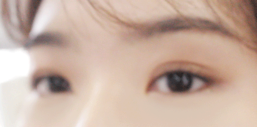 Pikicast叛亂熊｜版權所有