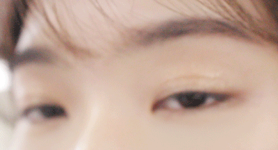 Pikicast叛亂熊｜版權所有