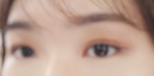 Pikicast叛亂熊｜版權所有