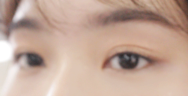 Pikicast叛亂熊｜版權所有