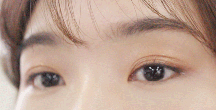 Pikicast叛亂熊｜版權所有