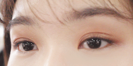 Pikicast叛亂熊｜版權所有