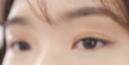 Pikicast叛亂熊｜版權所有