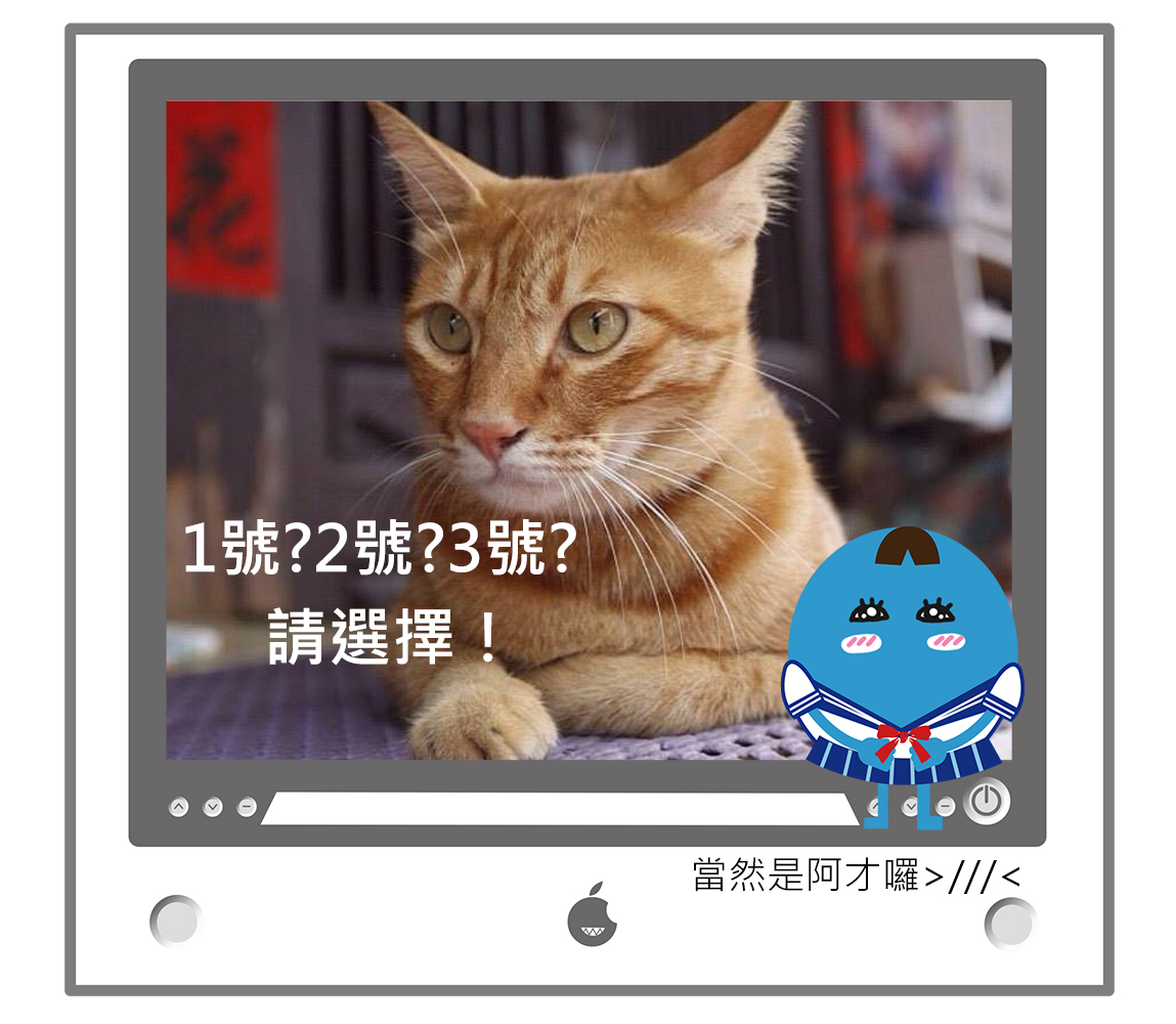 Image來源_Facebook|蔡英文 Tsai Ing-wen