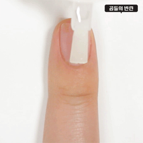 Pikicast叛亂熊｜版權所有