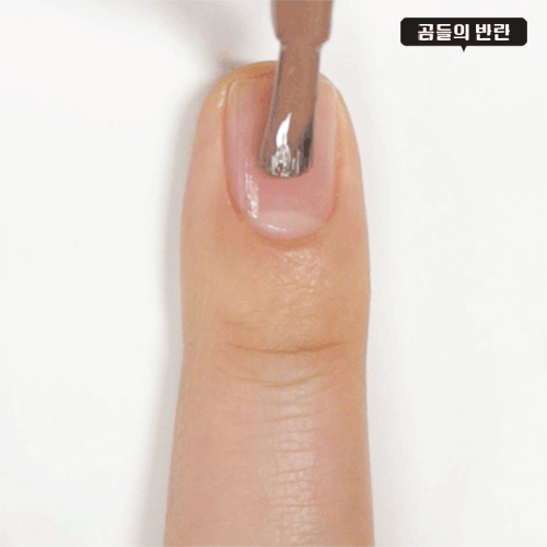 Pikicast叛亂熊｜版權所有