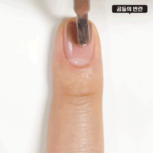 Pikicast叛亂熊｜版權所有