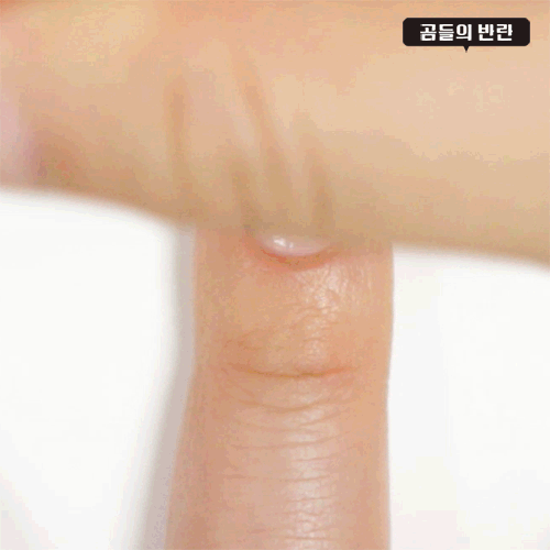 Pikicast叛亂熊｜版權所有