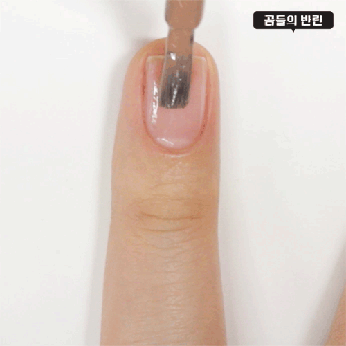 Pikicast叛亂熊｜版權所有