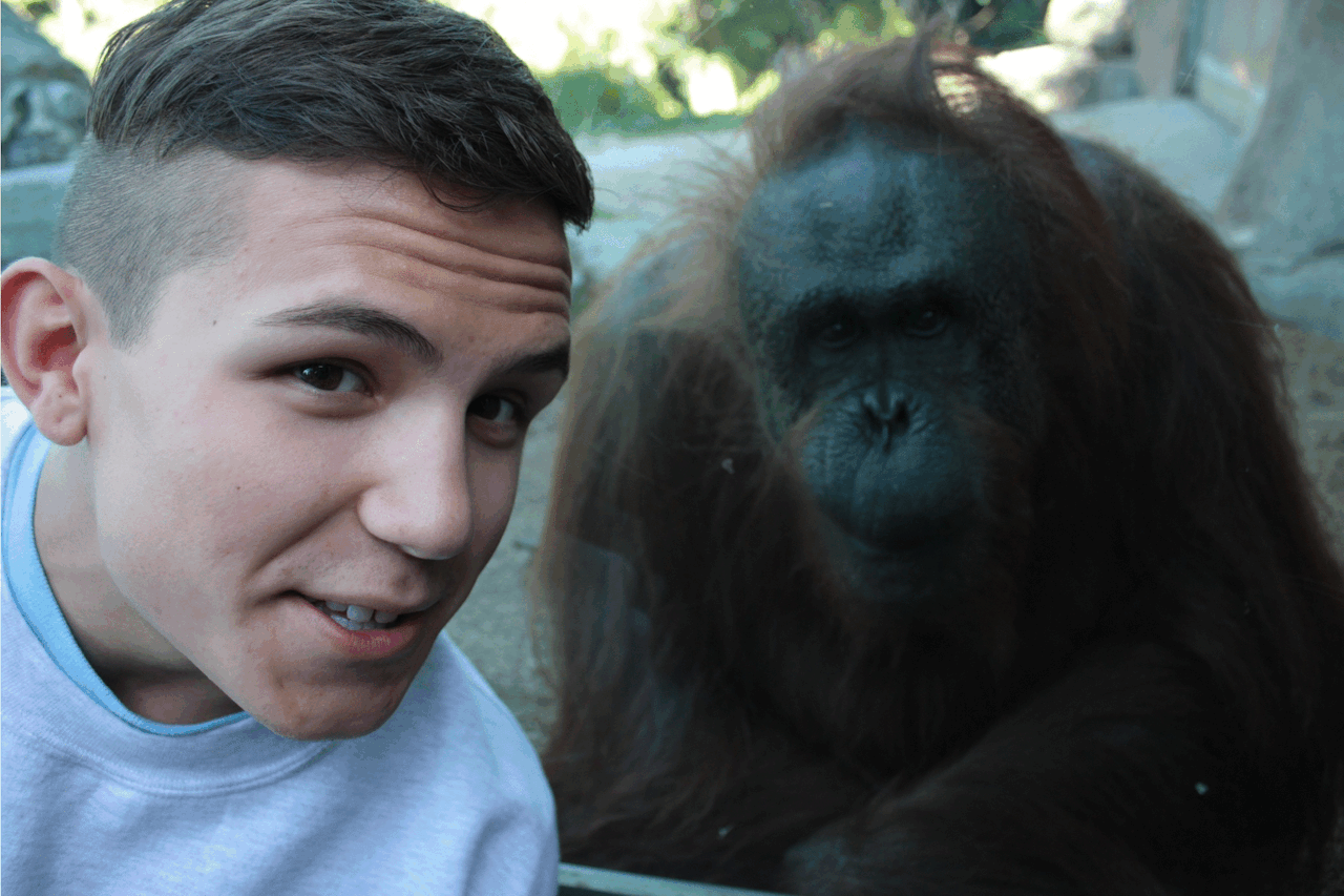 Image提供_giphy.com