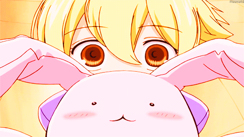 Image提供_Giphy.com