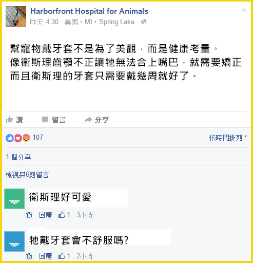 Image來源_Facebook_Harborfront Hospital for Animals