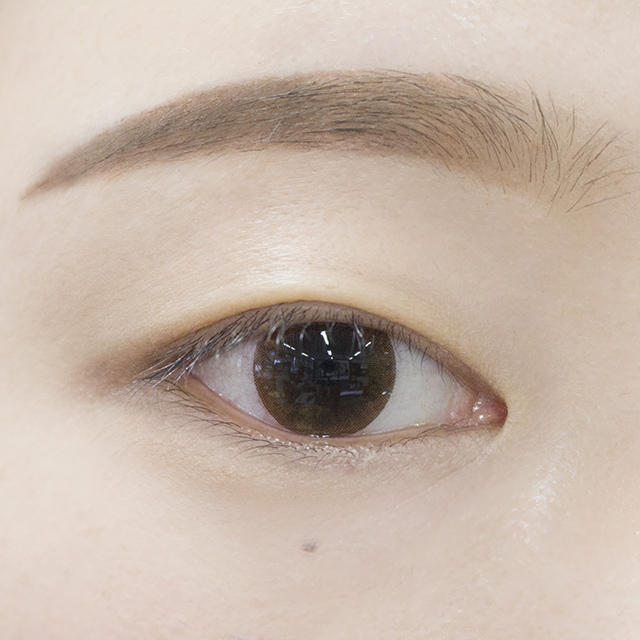 Pikicast叛亂熊｜版權所有