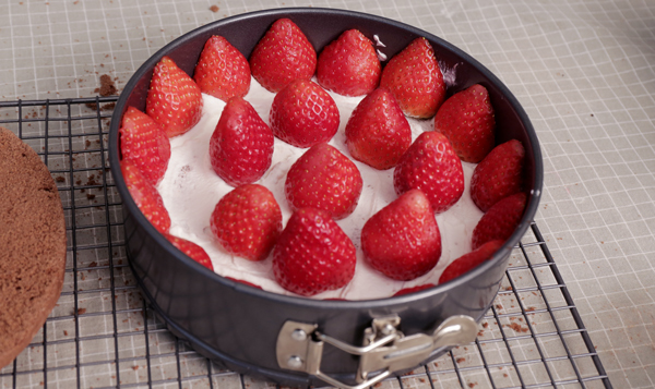 PIKICAST版權所有