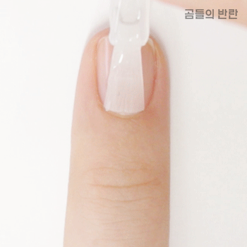 Pikicast叛亂熊｜版權所有