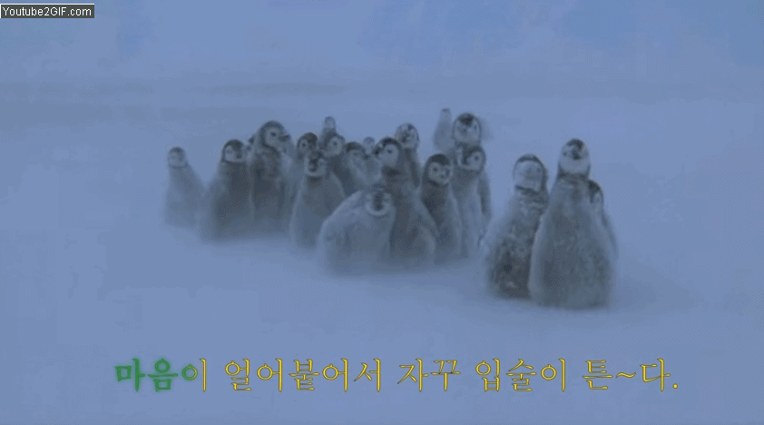 Youtube_EPIK HIGH& lee hi 'cold'