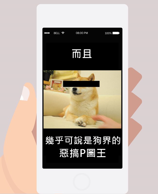 Image來源_Facebook Strolling with Kabosu