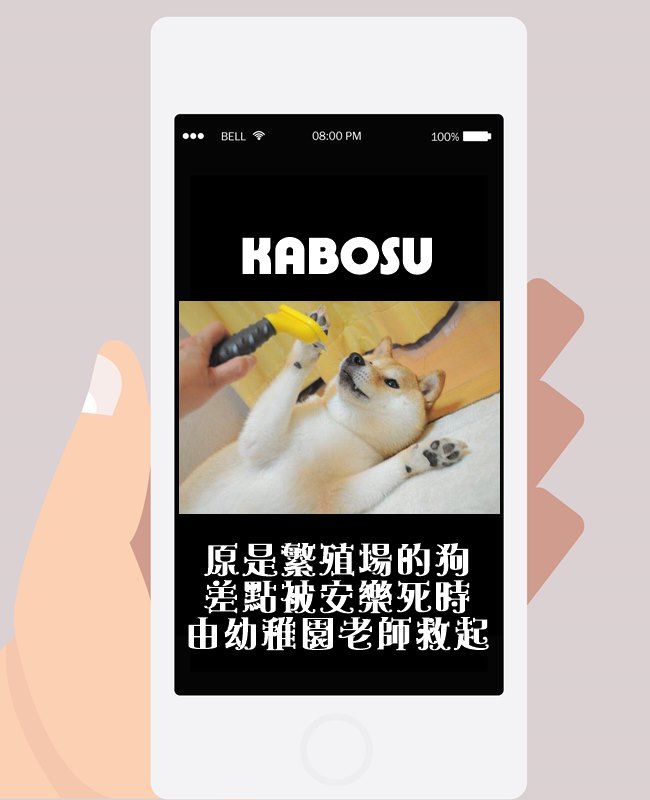 Image來源_Facebook Strolling with Kabosu