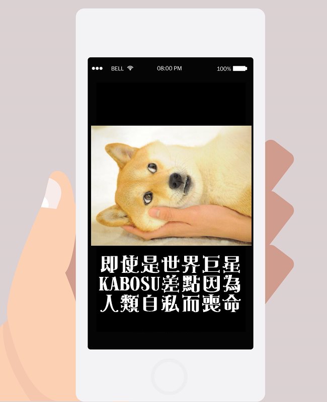 Image來源_Facebook Strolling with Kabosu