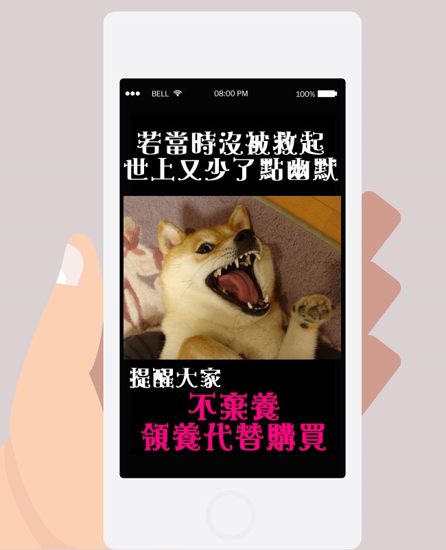 Image來源_Facebook Strolling with Kabosu