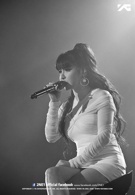 Image來源_facebook_2NE1