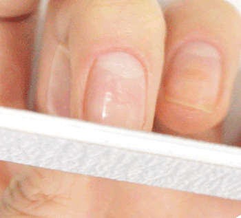 PIKICAST | 叛亂熊