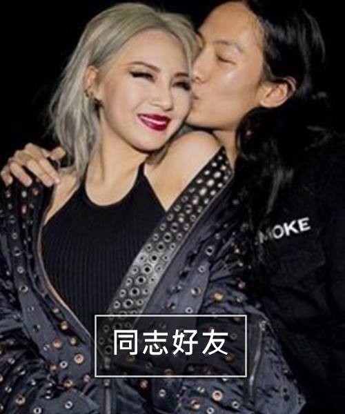 同志好友可以陪你逛街、買衣服、談論化妝品、談論男友,什麼話題無所不能。你不開心,他陪你罵人,你開心,他陪你喝酒,不管是玩樂還是談心,他都能夠在你身邊。