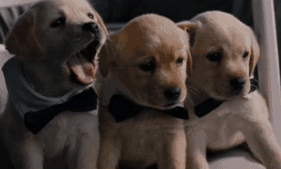 Image來源_tumblrㅣcloudspassing