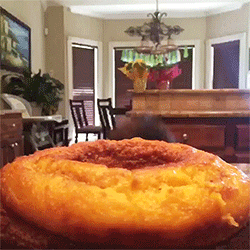 Image來源_giphy.com