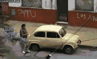 Image提供_giphy.com